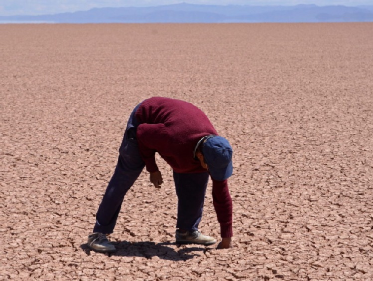 Raport FAO: Zmiany klimatyczne zwiększają zagrożenie głodem